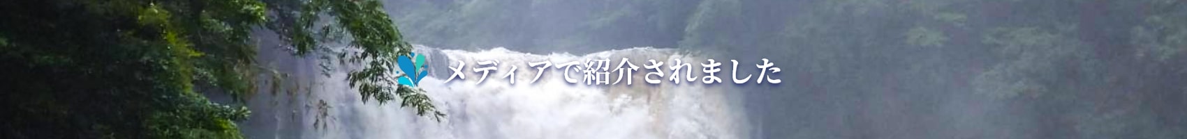 メディア